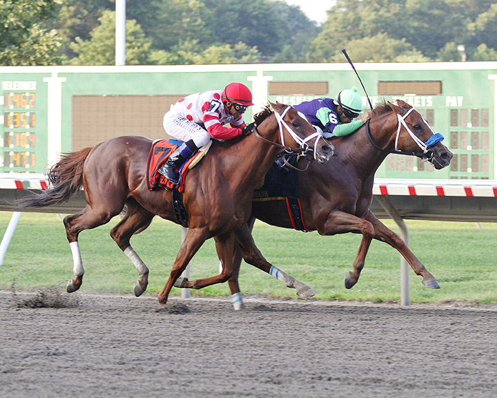 Bal Harbour finishes second in the Monmouth Cup at Monmouth Park
