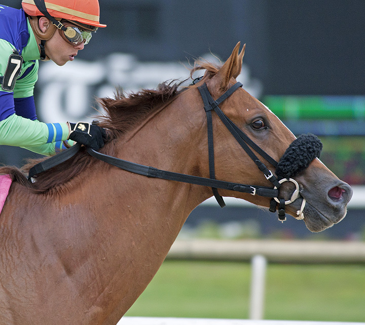 War Story wins the 2018 Challenger