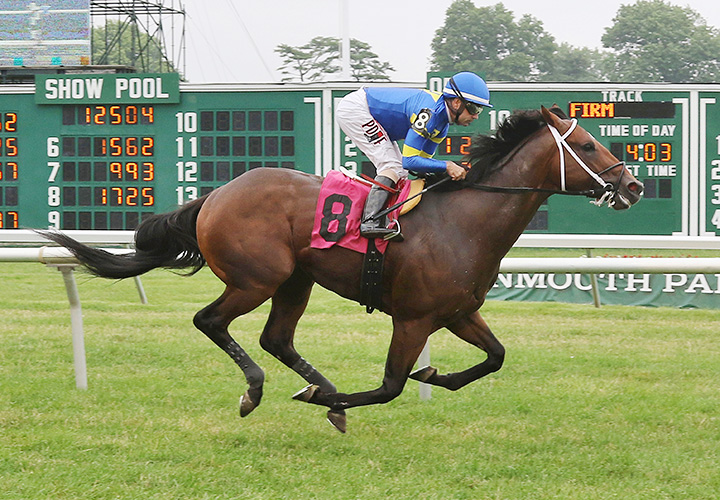 War Treaty wins a July 5 allowance race at Monmouth Park