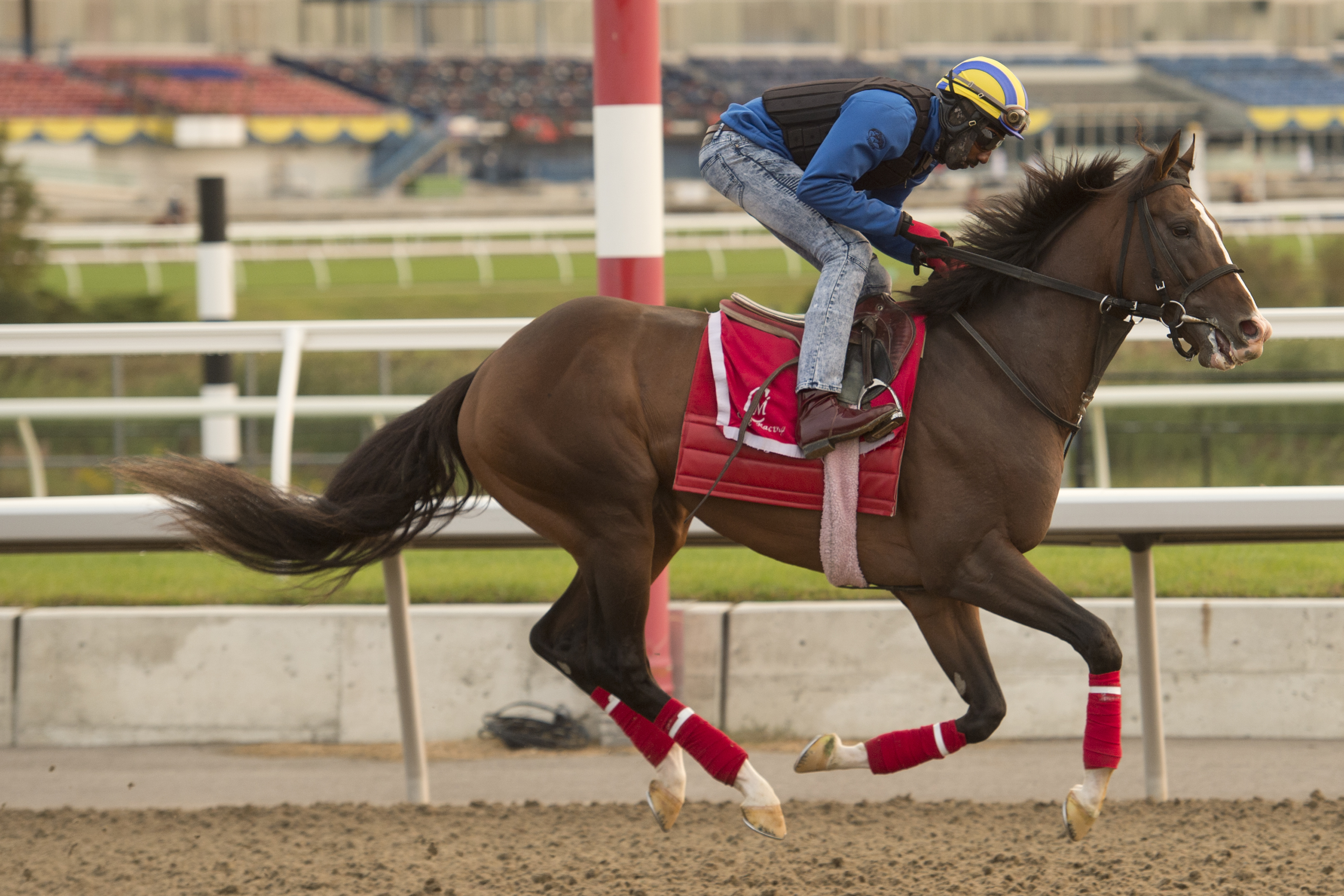 War of Will trains at Woodbine.09-16-2020