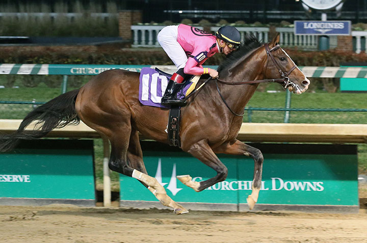 War of Will wins a Nov. 24 maiden race