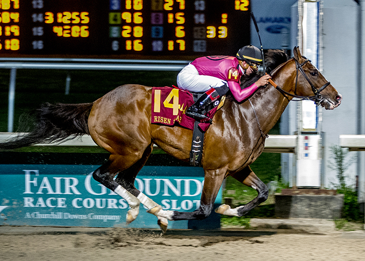 War of Will wins the 2019 Risen Star