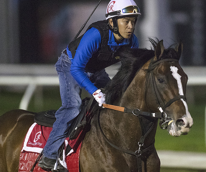 War of Will trains at Fair Grounds on March 21