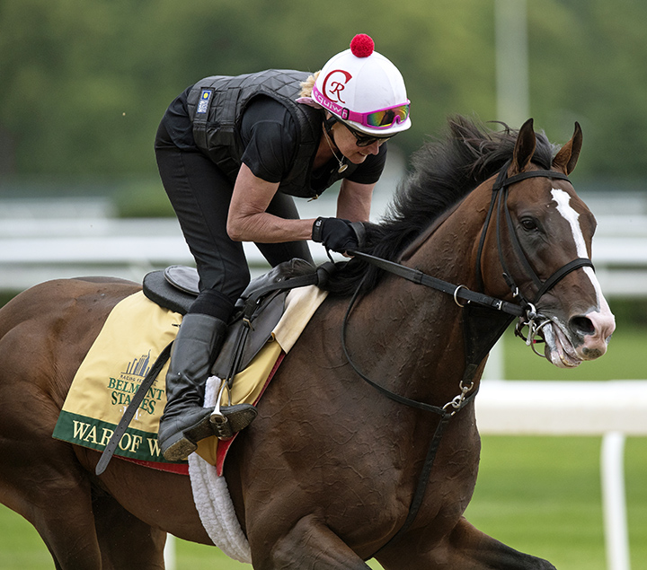 War of Will at Belmont on June 5