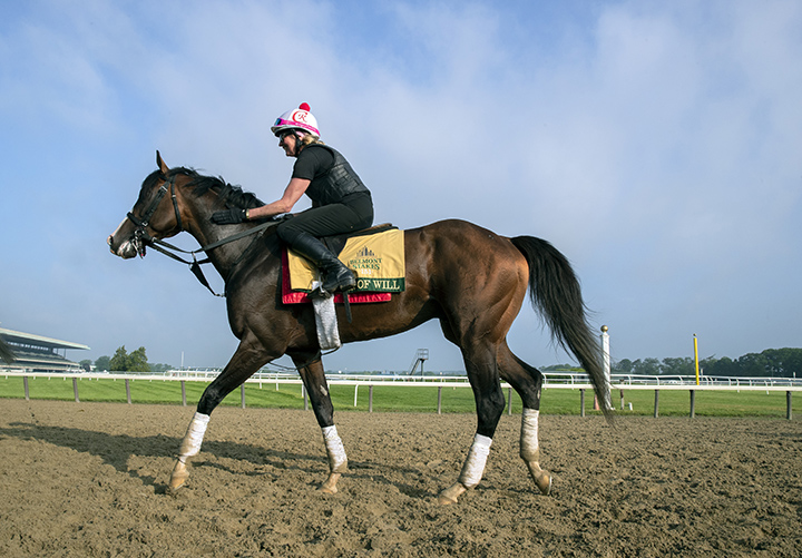War of Will at Belmont on June 6