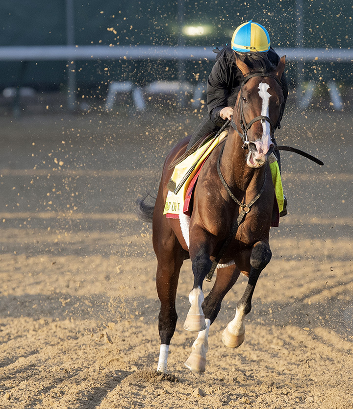 War of Will works at Churchill on April 27