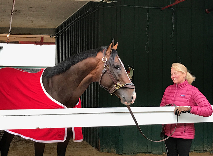 War of Will at Pimlico on May 14, 2019