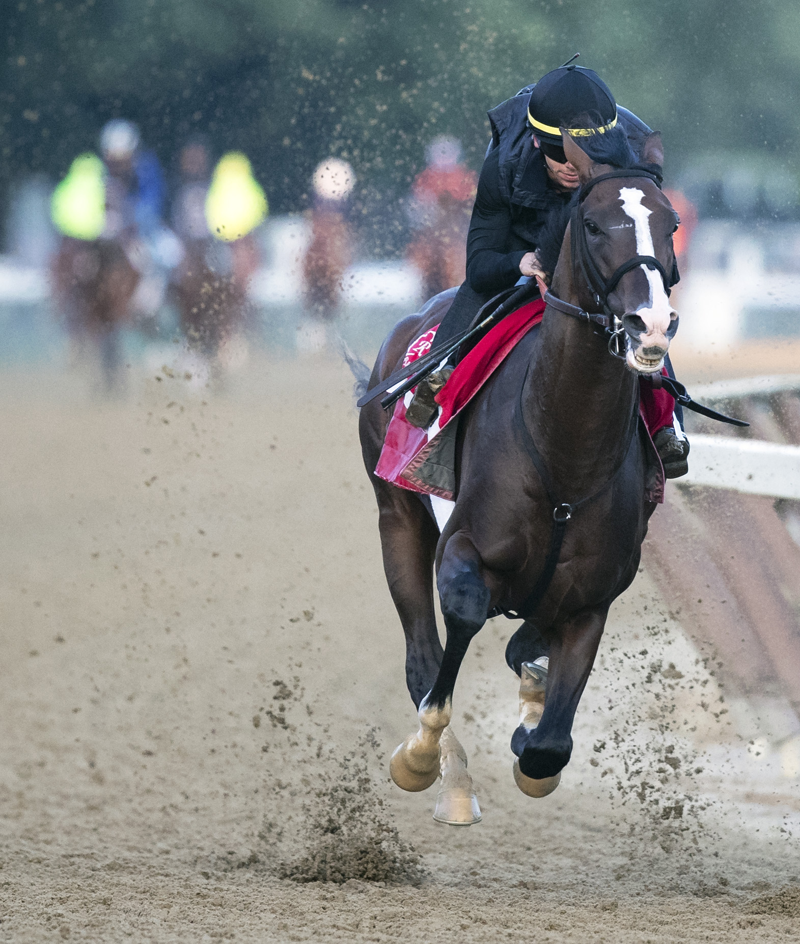War of Will works at Saratoga on 7.13.19