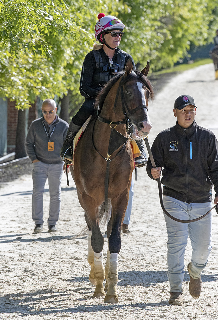 War of Will at Pimlico on May 15
