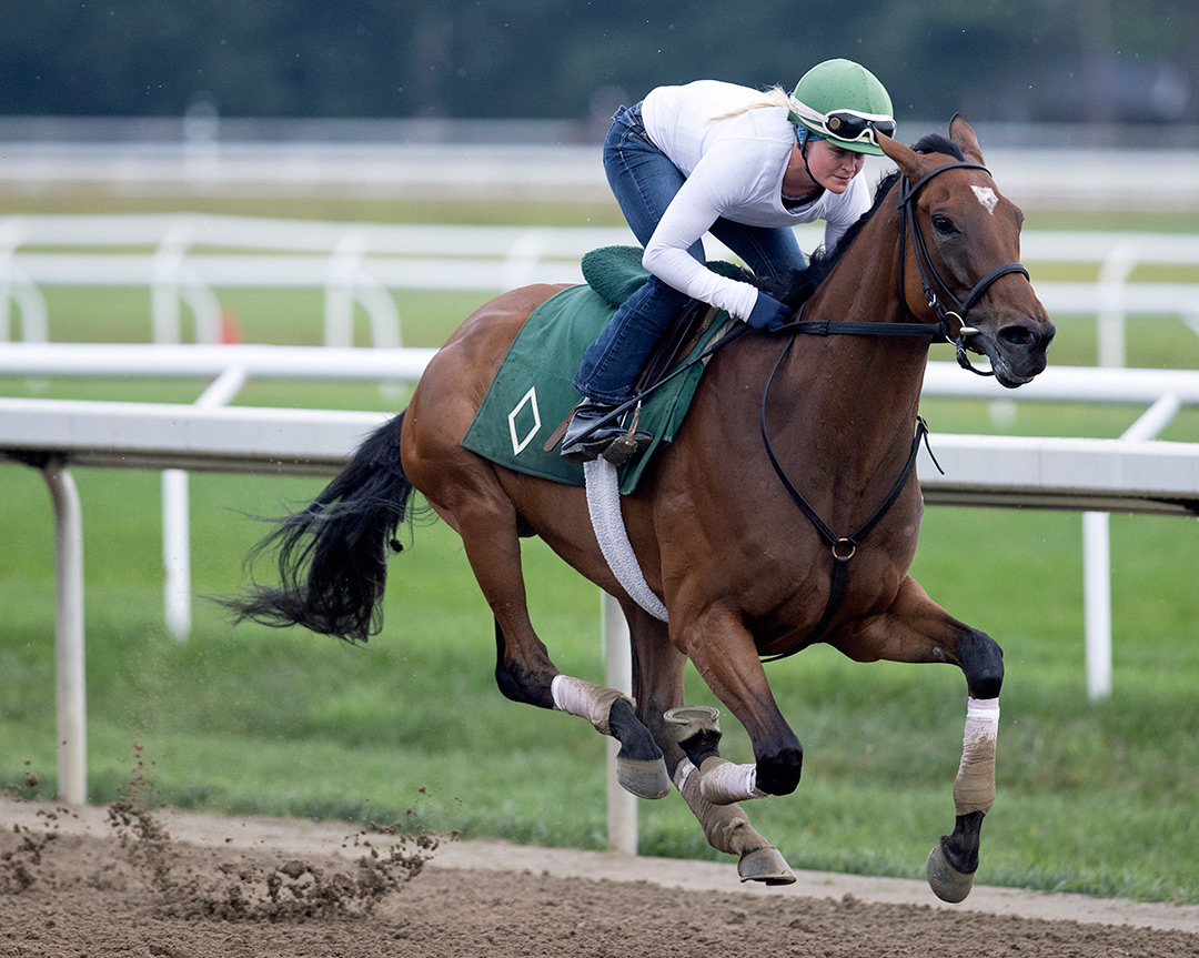 War Like Goddess trains at Saratoga on Aug. 18
