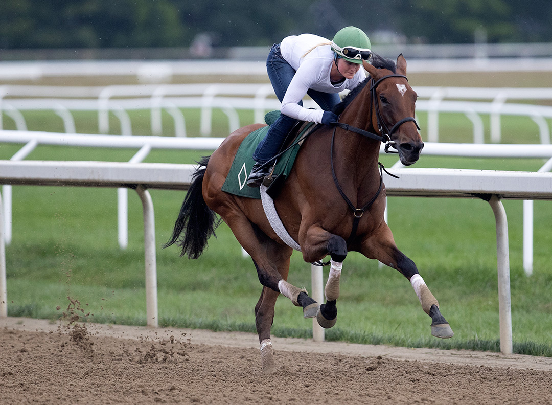 War Like Goddess trains at Saratoga on Aug. 18