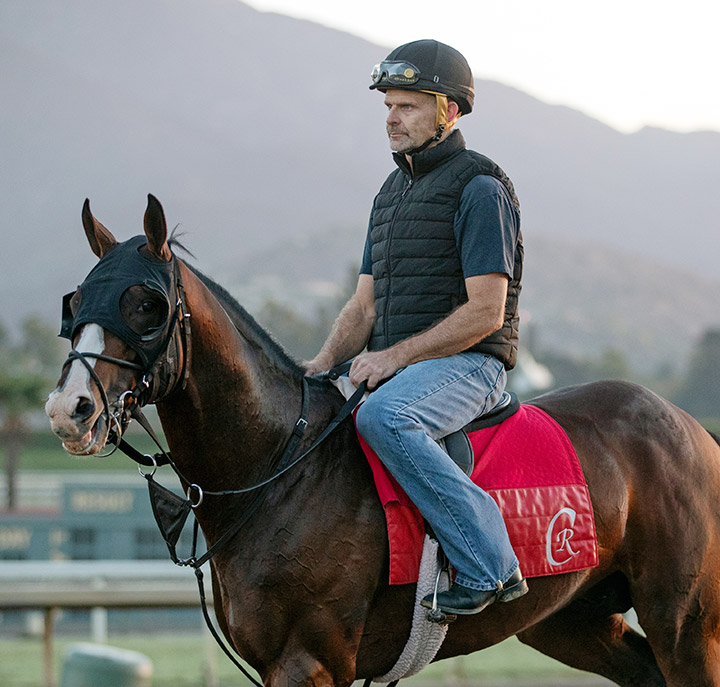 War of Will at Santa Anita Park, October 2019