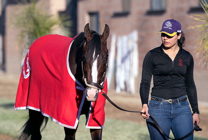 War of Will at Santa Anita Park in October 2019