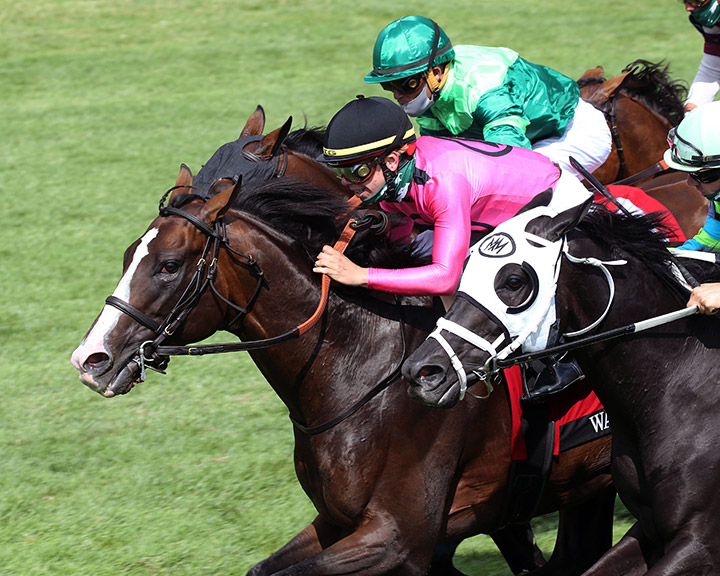 War of Will (center) wins the 2020 Maker's Mark Mile at Keeneland