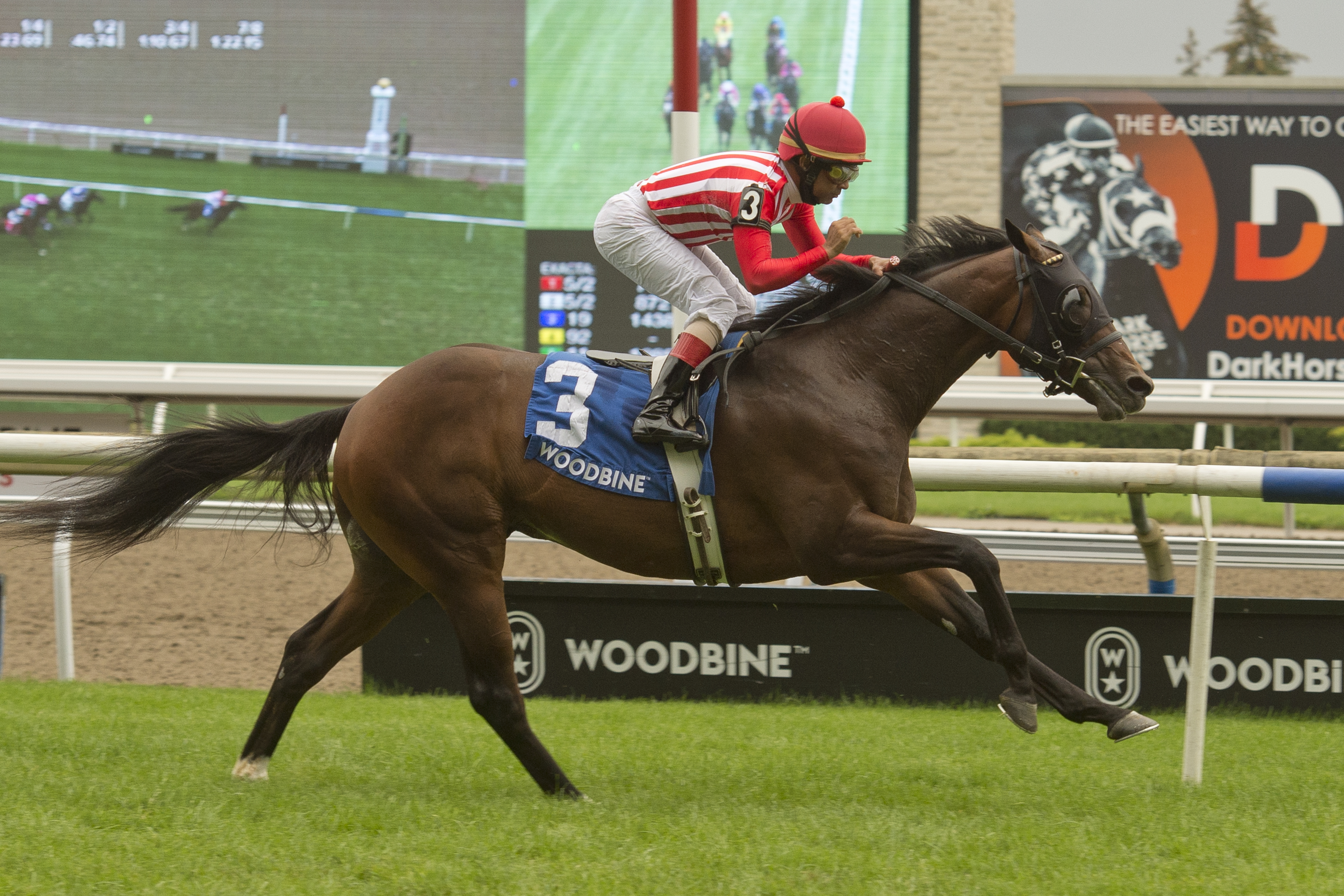War Bomber - Toronto Cup S. 2021