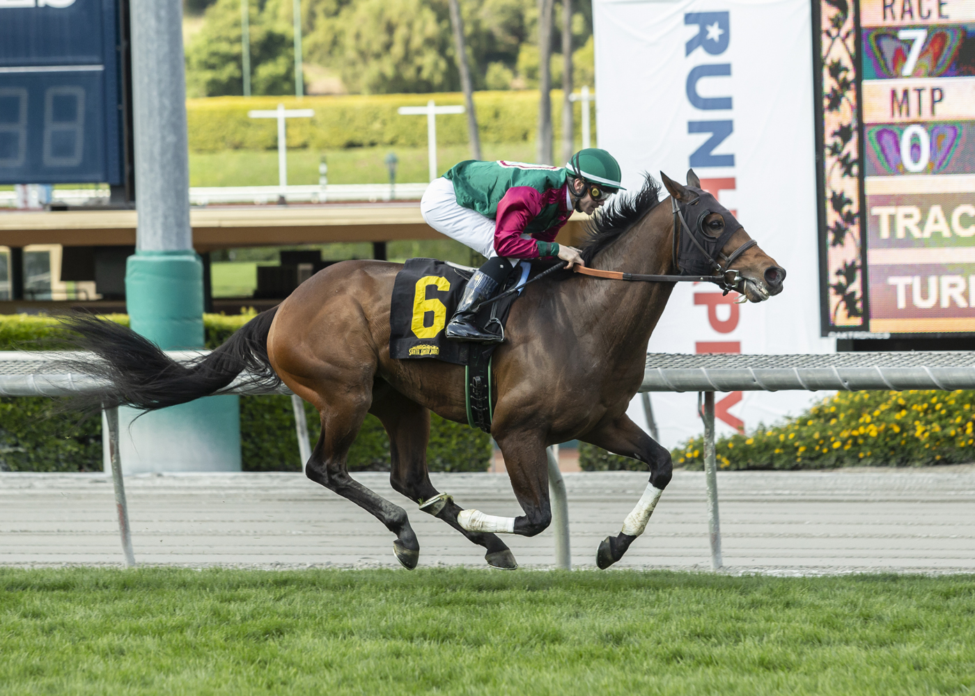 Ward n Jerry wins the 2020 San Luis Rey Stakes