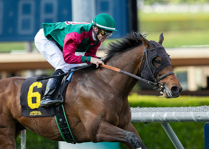 Ward 'n Jerry wins the 2020 San Luis Stakes at Santa Anita Park