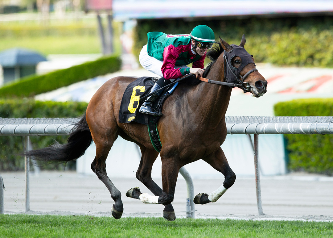 Ward 'n Jerry wins the 2020 San Luis Rey Stakes at Santa Anita