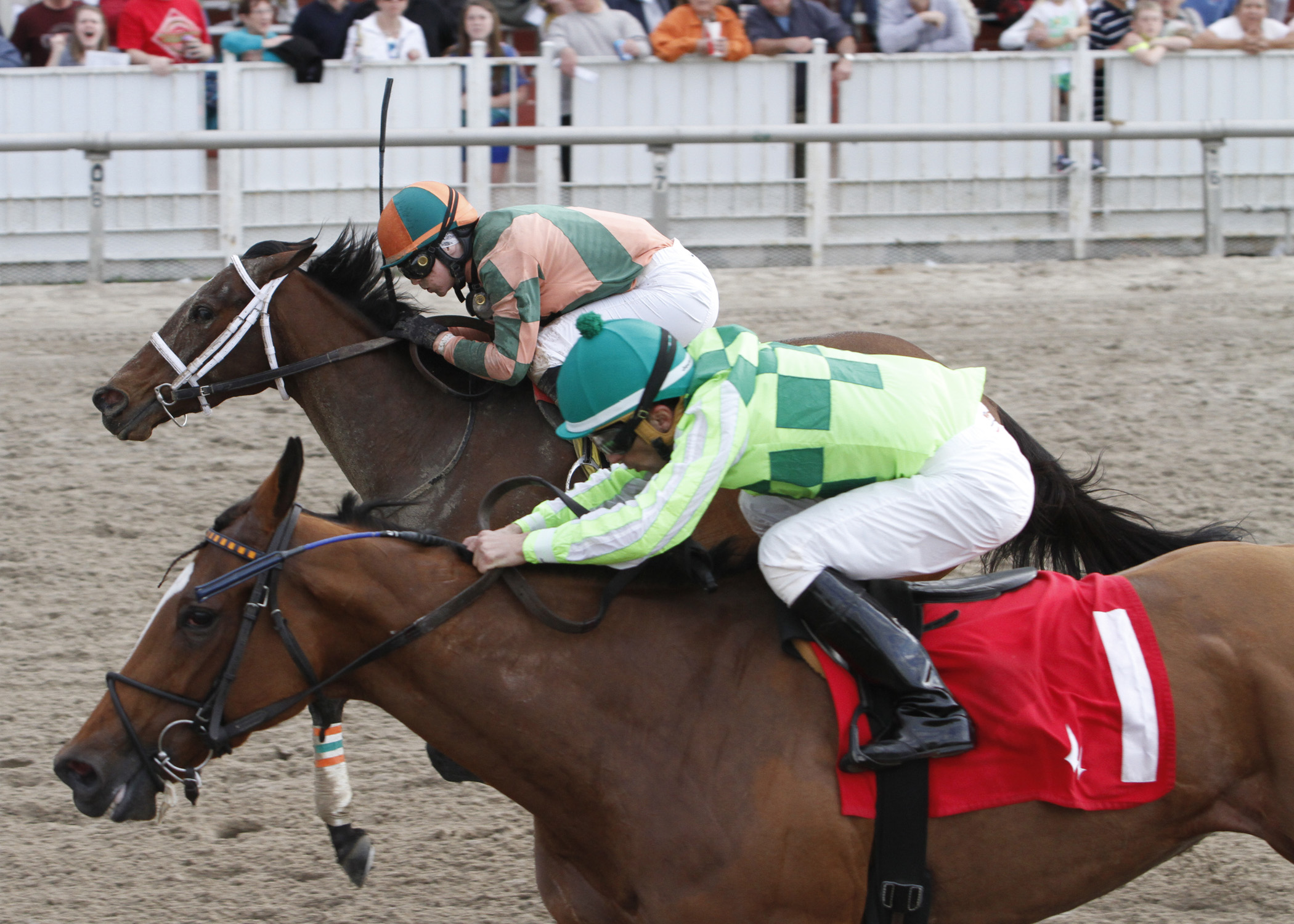 Warm Breeze (foreground) defeats Same Cross in Happy Ticket