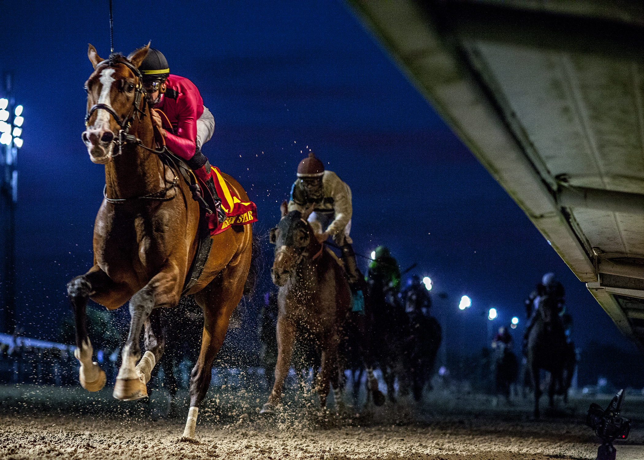 War of Will wins 2019 Risen Star