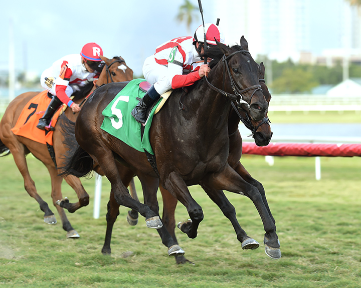 Warranty wins a Jan. 21 allowance