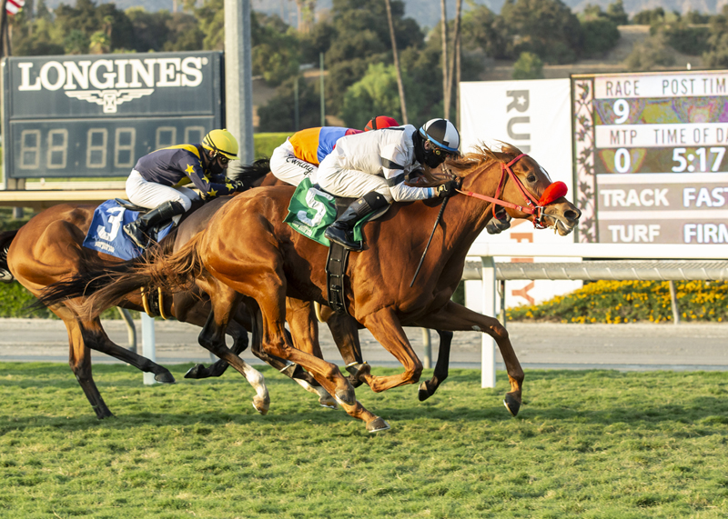 Warren's Showtime wins Autumn Miss 10-17-2020