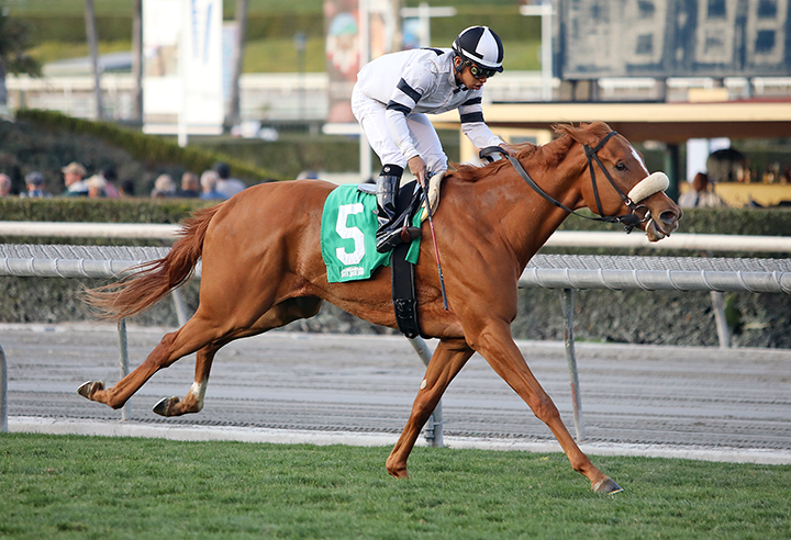Warren's Showtime wins the 2020 California Cup Oaks at Santa Anita Park