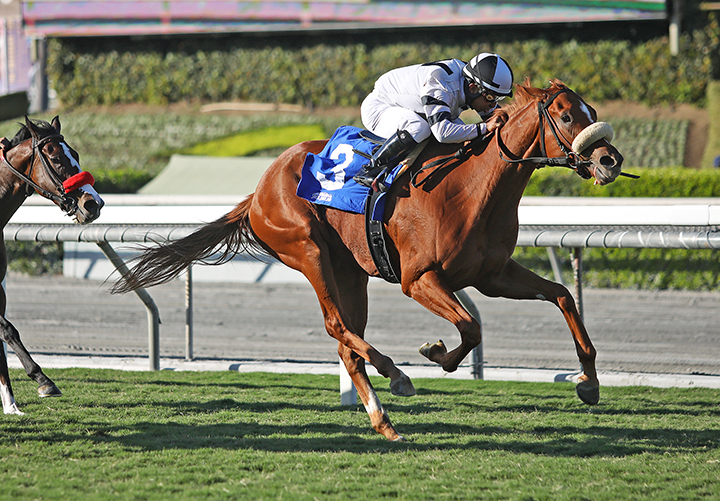 Warren's Showtime wins the Surfer Girl Stakes at Santa Anita Park
