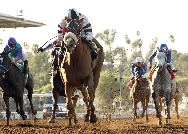 Warren's Veneda wins 2015 Santa Maria