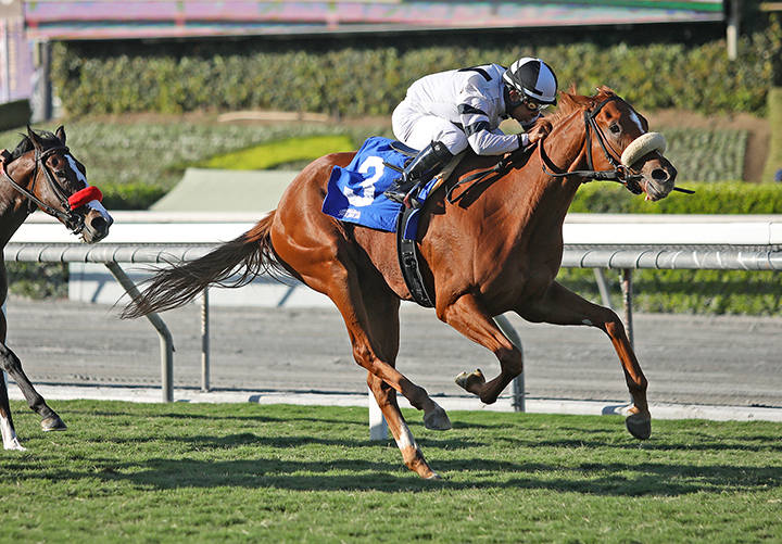 Warren-s Showtime wins the 2019 Surfer Girl Stakes at Santa Anita Park