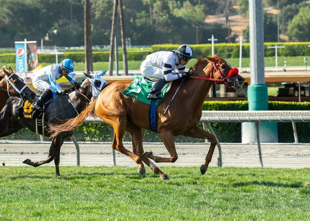Warren's Showtime wins the 2021 Wilshire Stakes at Santa Anita