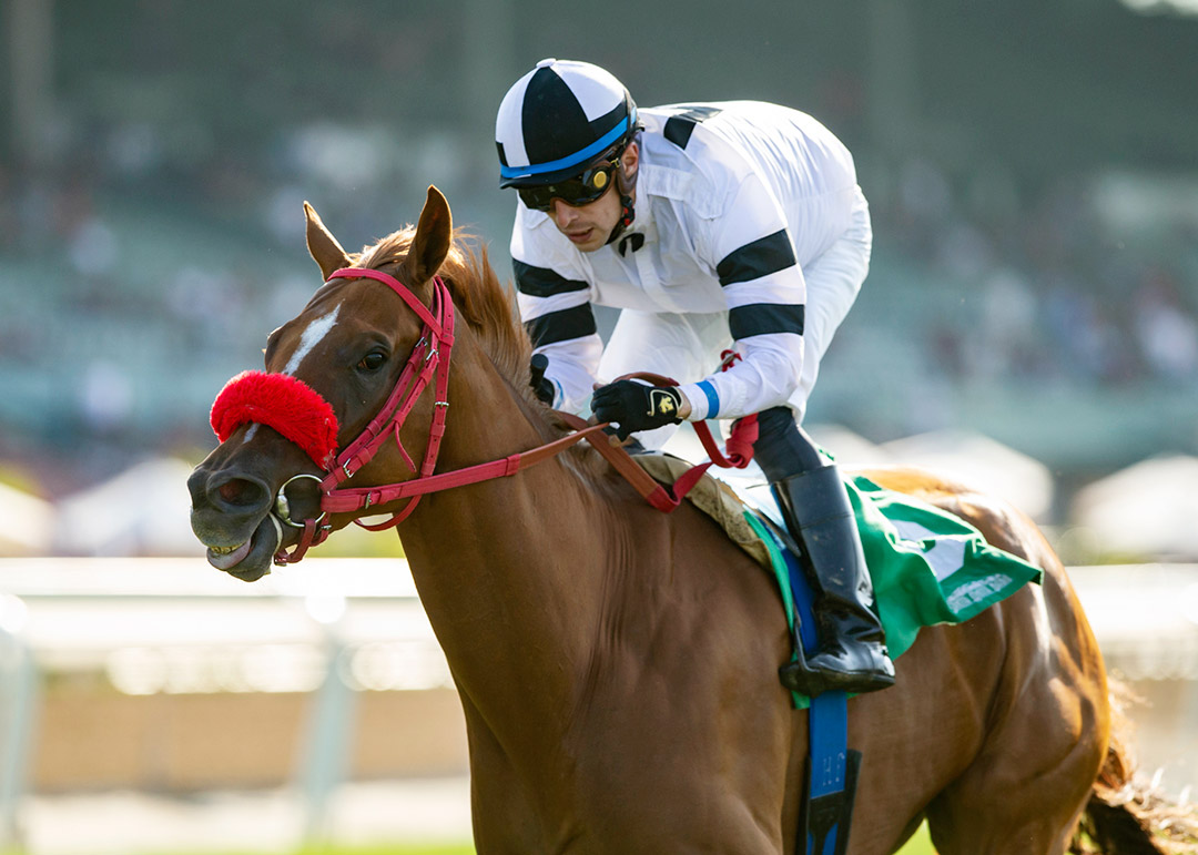 Warren's Showtime wins the 2021 Wilshire Stakes at Santa Anita Park