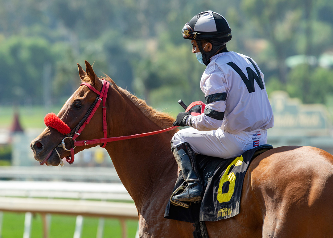 Warren's Showtime at the Melair Stakes at Del Mar