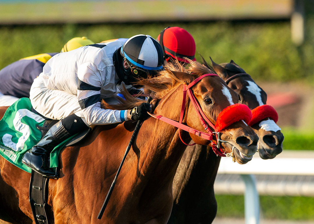 Warren's Showtime (5) wins the Autumn Miss Stakes at Santa Anita