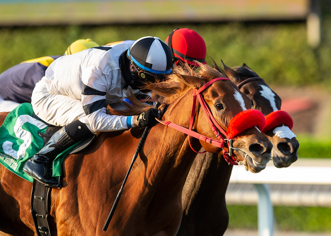 Warren's Showtime (left) wins the Autumn Miss Stakes at Santa Anita