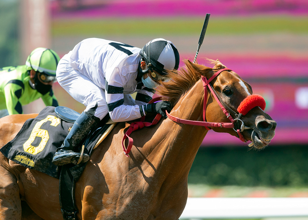 Warren's Showtime at the 2020 Melair Stakes at Del Mar