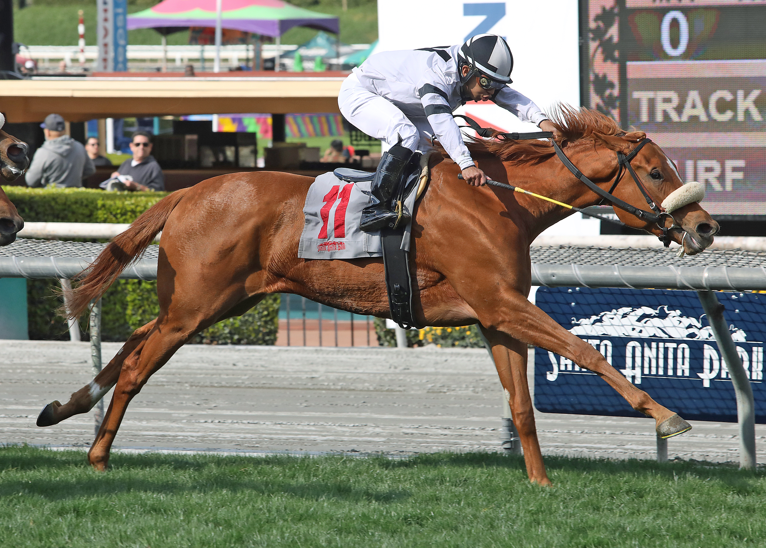 Warrens Showtime wins the 2020 China Doll Stakes