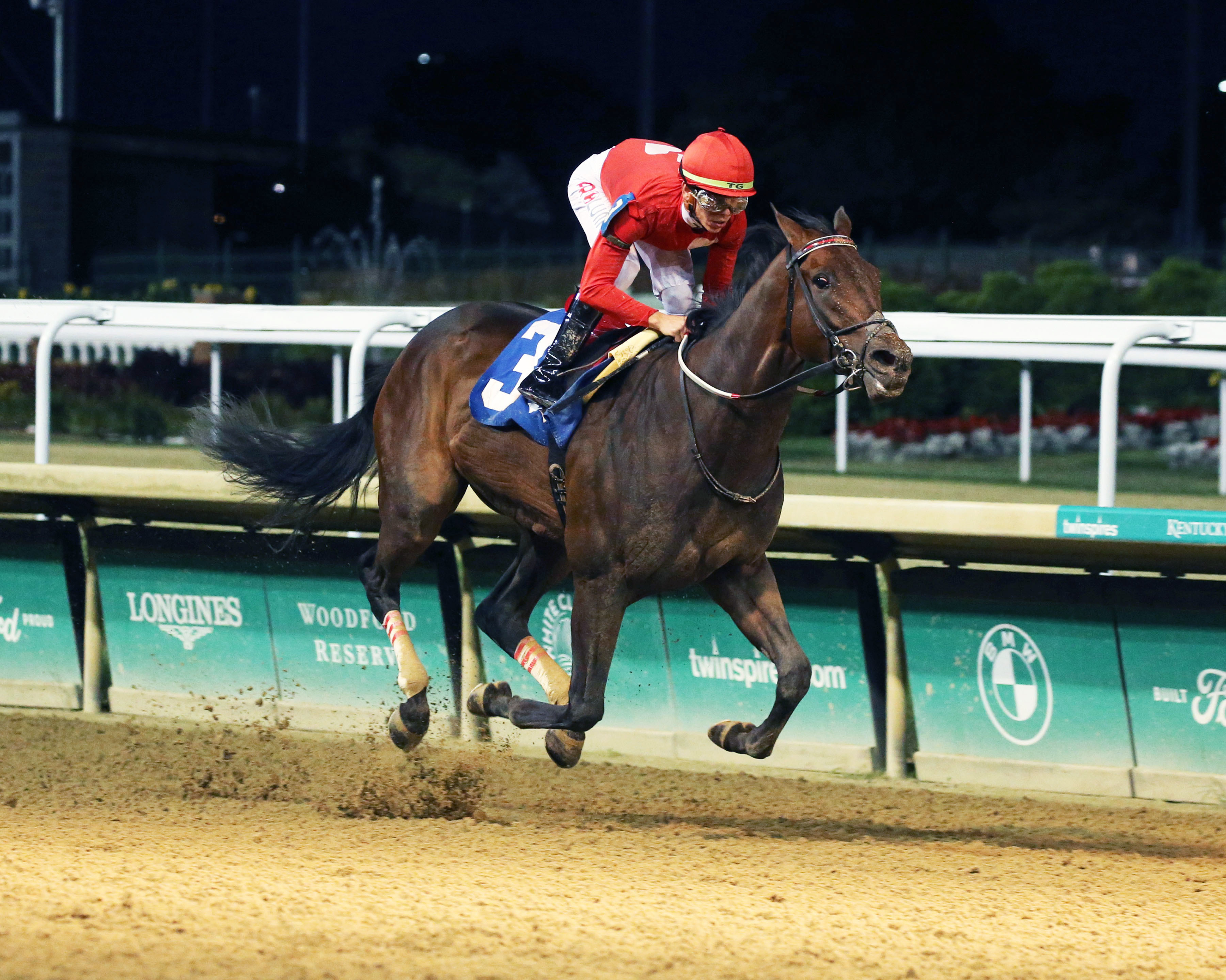 Warrior Johny wins a Churchill maiden race June 18 2022
