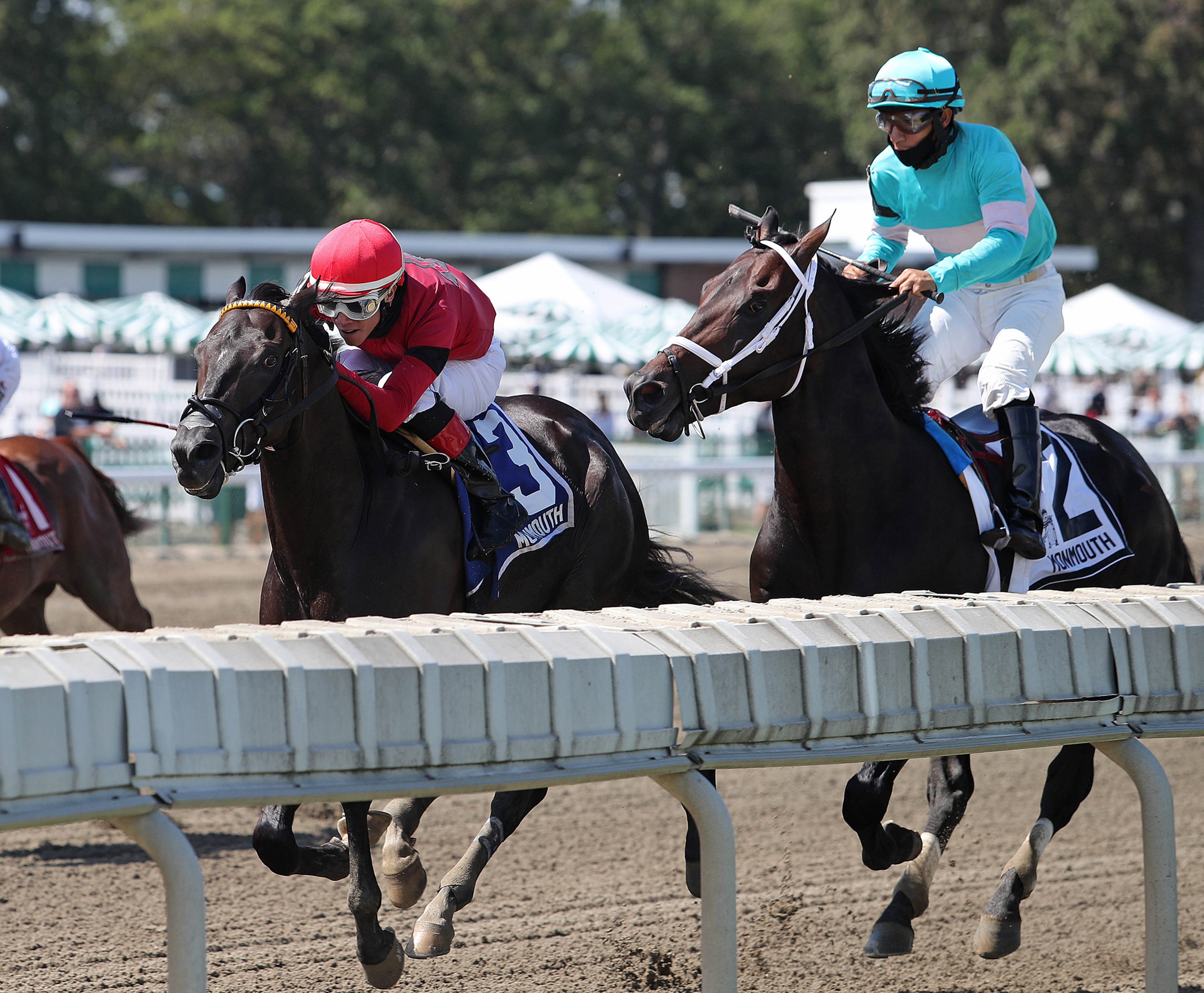 Warrior's Charge (No. 2) steadies inside Pirate's Punch (Mo.3) in the Philip Iselin. Warrior's Charge was placed first.8-22-2020