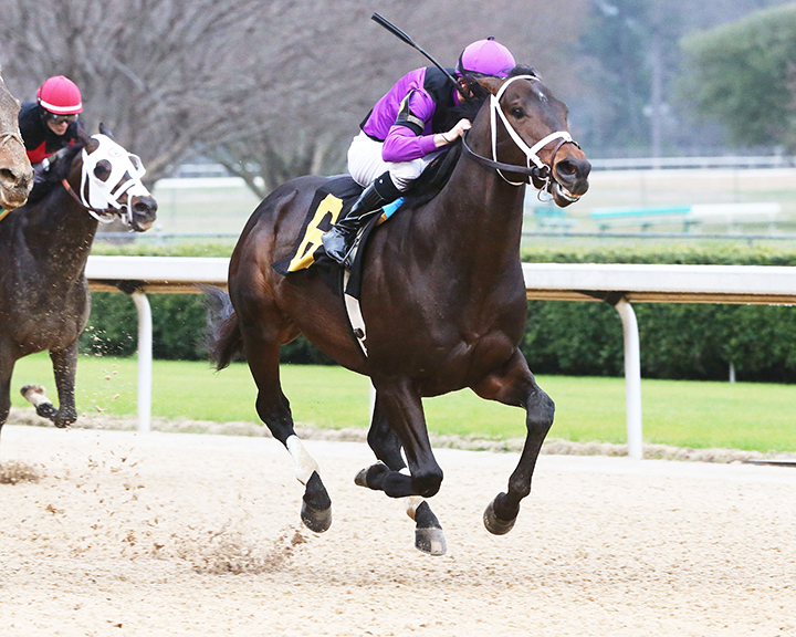 Warrior's Charge wins the 2020 Razorback Handicap at Oaklawn Park