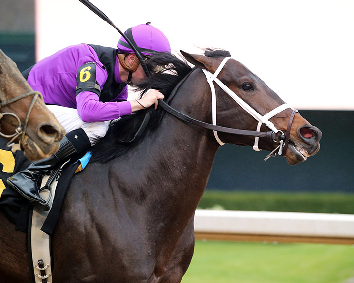 Warrior's Charge wins the 2020 Razorback Handicap at Oaklawn Park