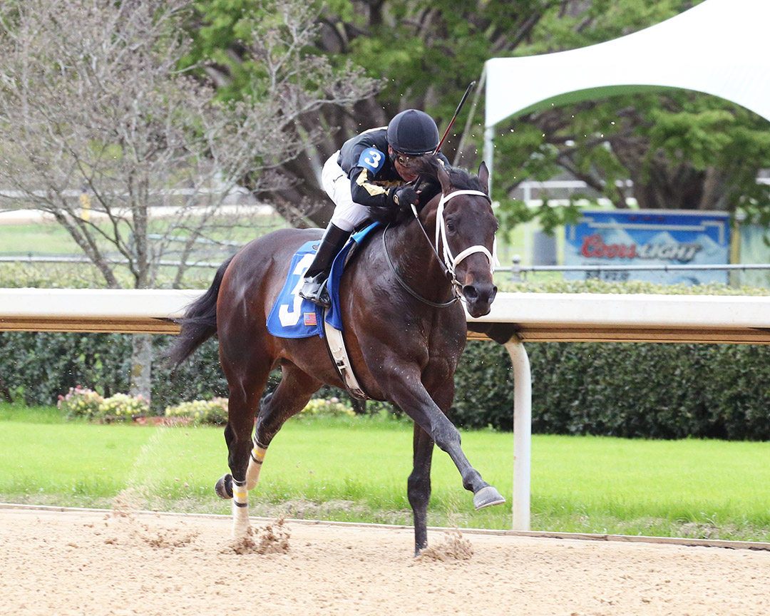 Warrior's Map wins a March 20 maiden race at Oaklawn Park