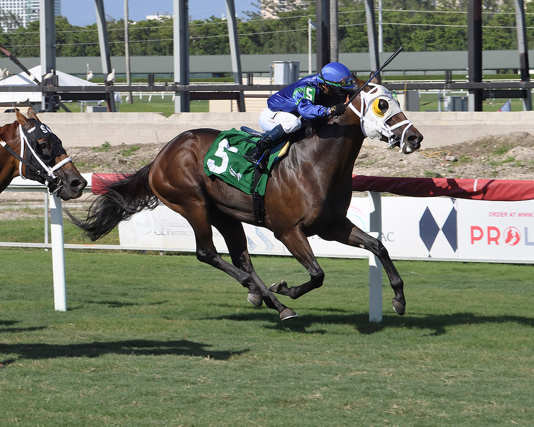 Warrior's Pride wins the Bob Umphrey Turf Sprint Stakes at Gulfstream Park