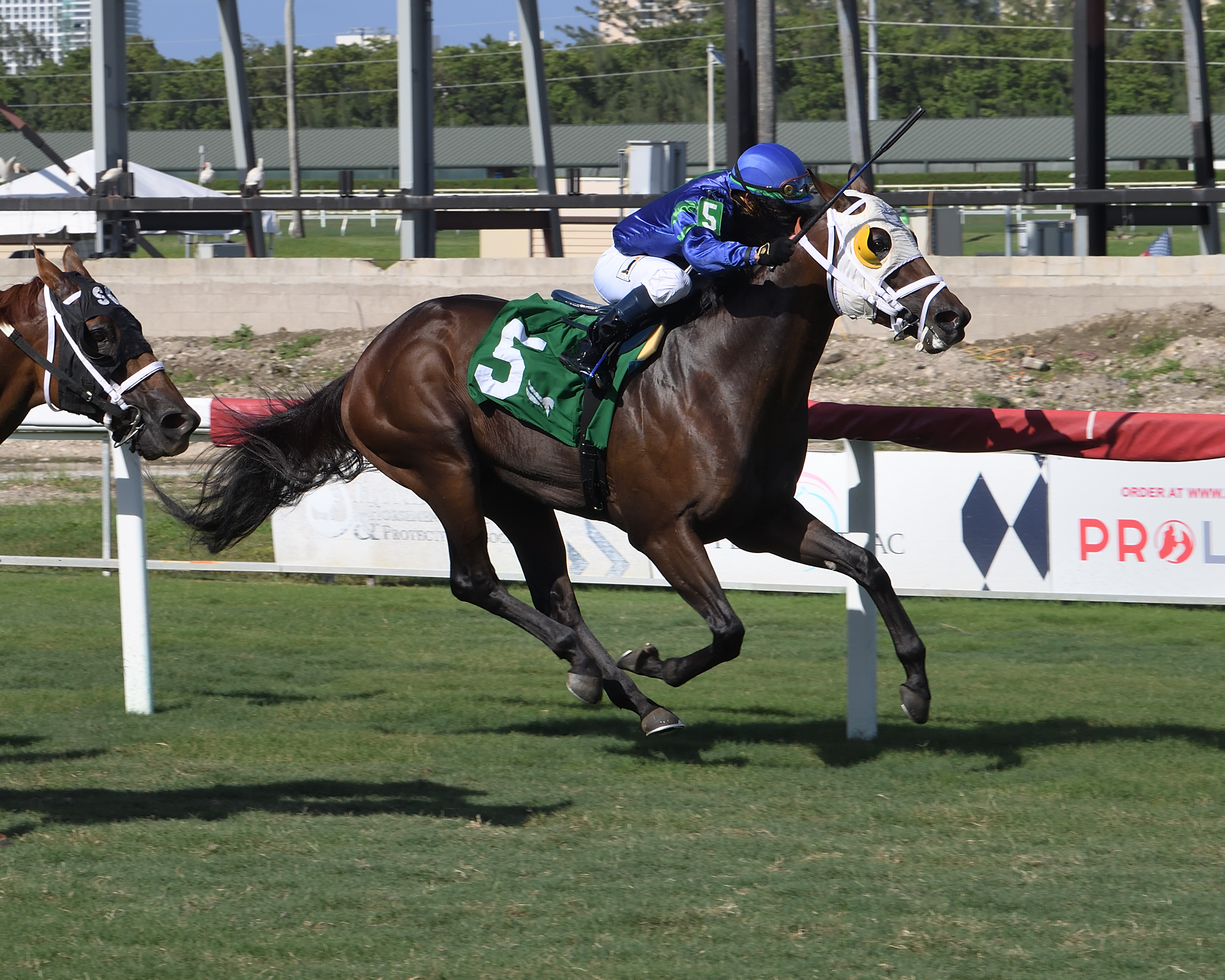 Warrior's Pride wins Bob Umphrey Turf Sprint 7-4-2021