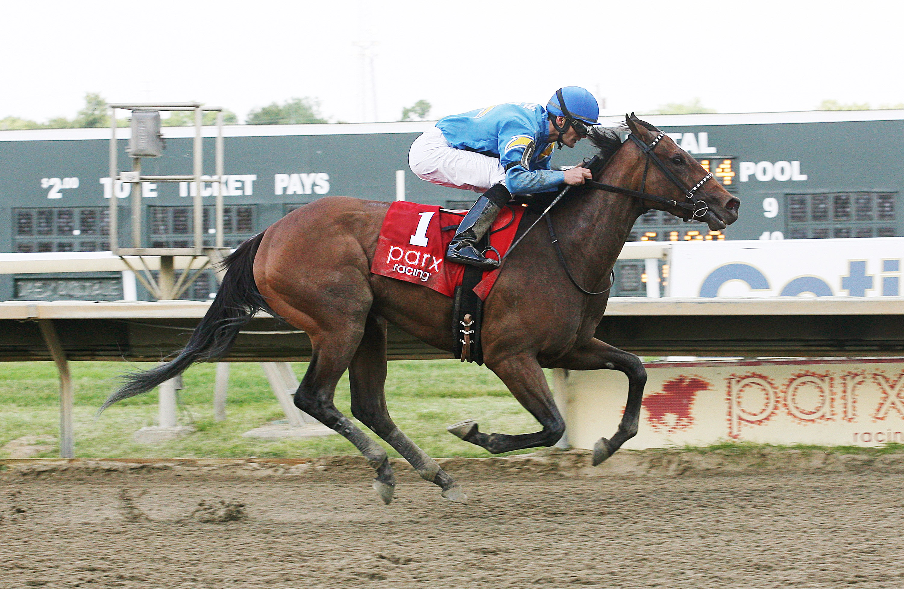 Warriorscmoutoplay wins the Jostle Stakes