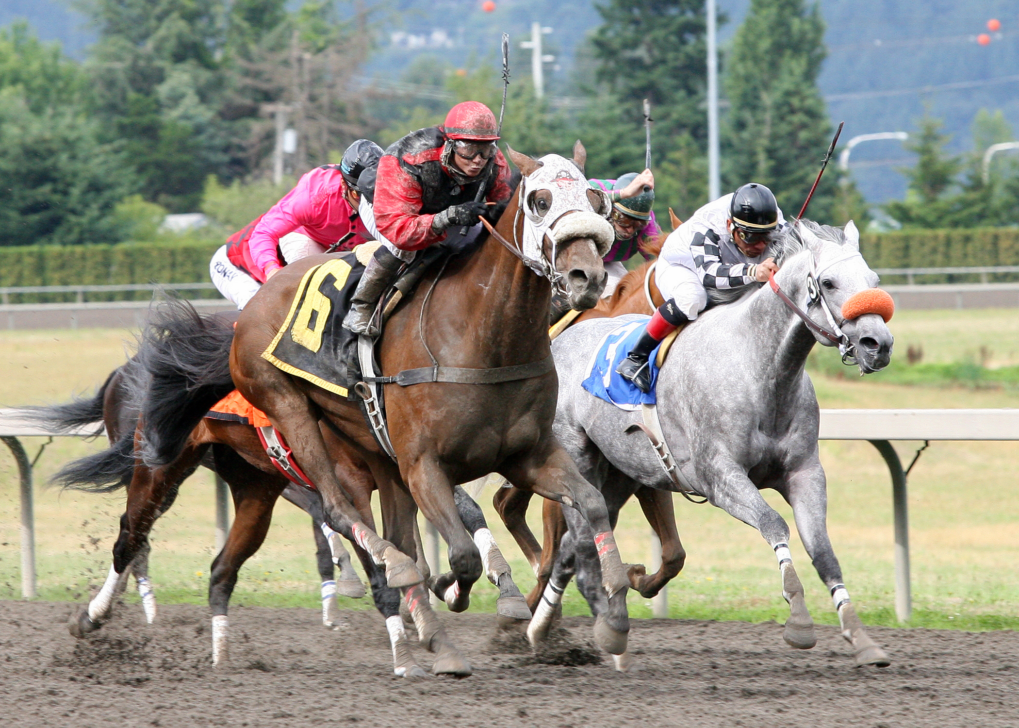 Wasserman/Governor's Handicap 2007