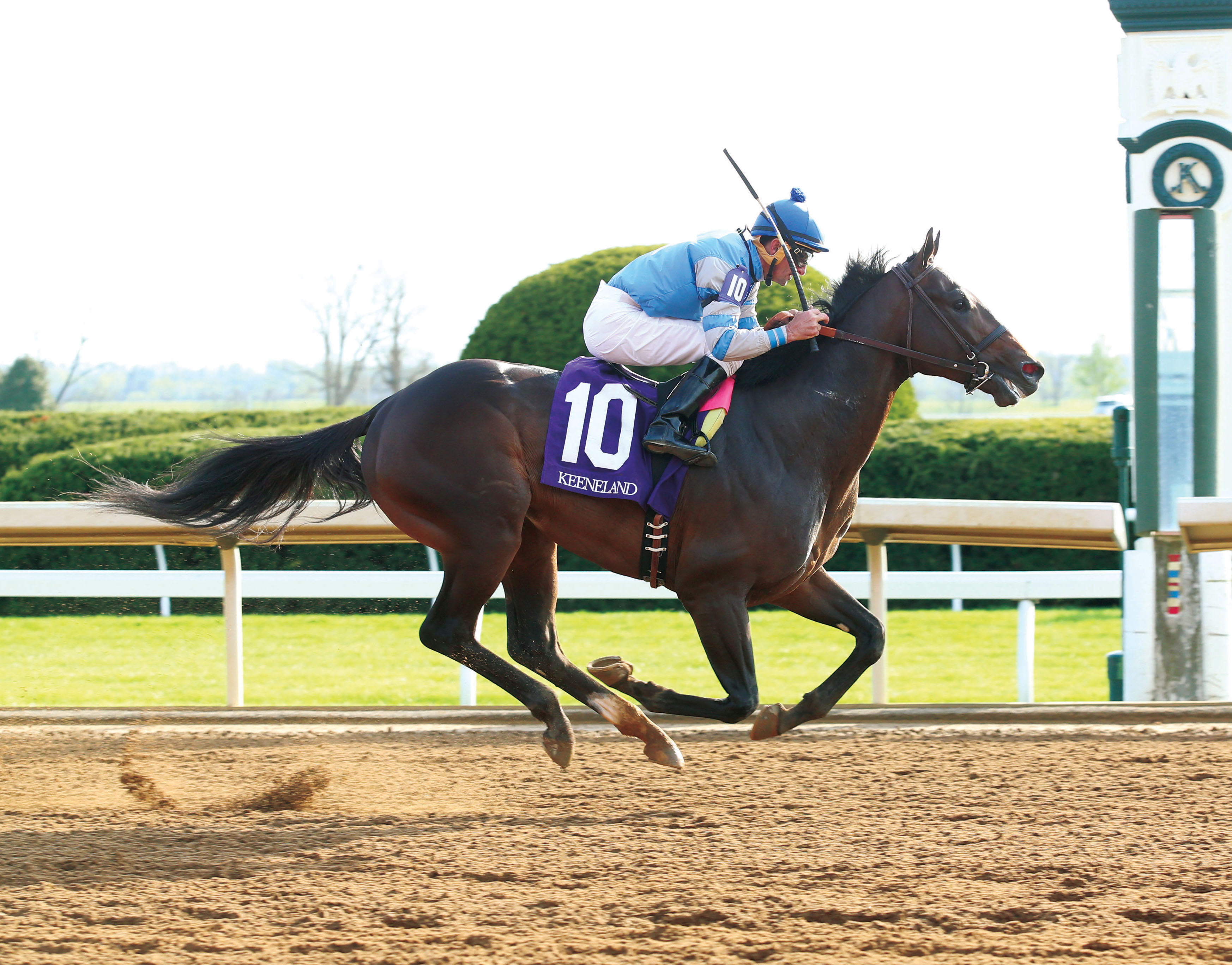 Watch Me Whip wins an April 14 maiden race