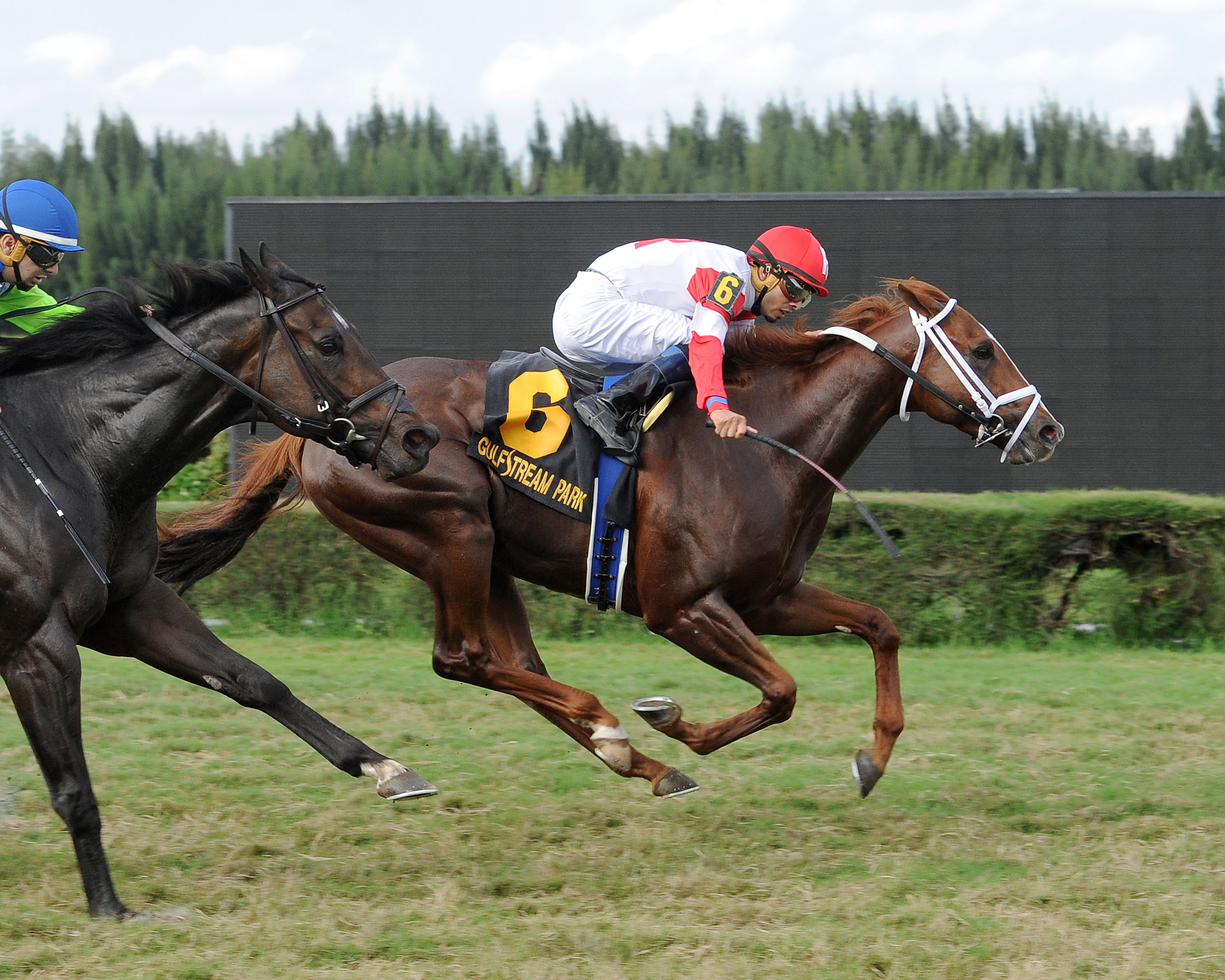 Watchyourownbobber wins the Showing Up Stakes