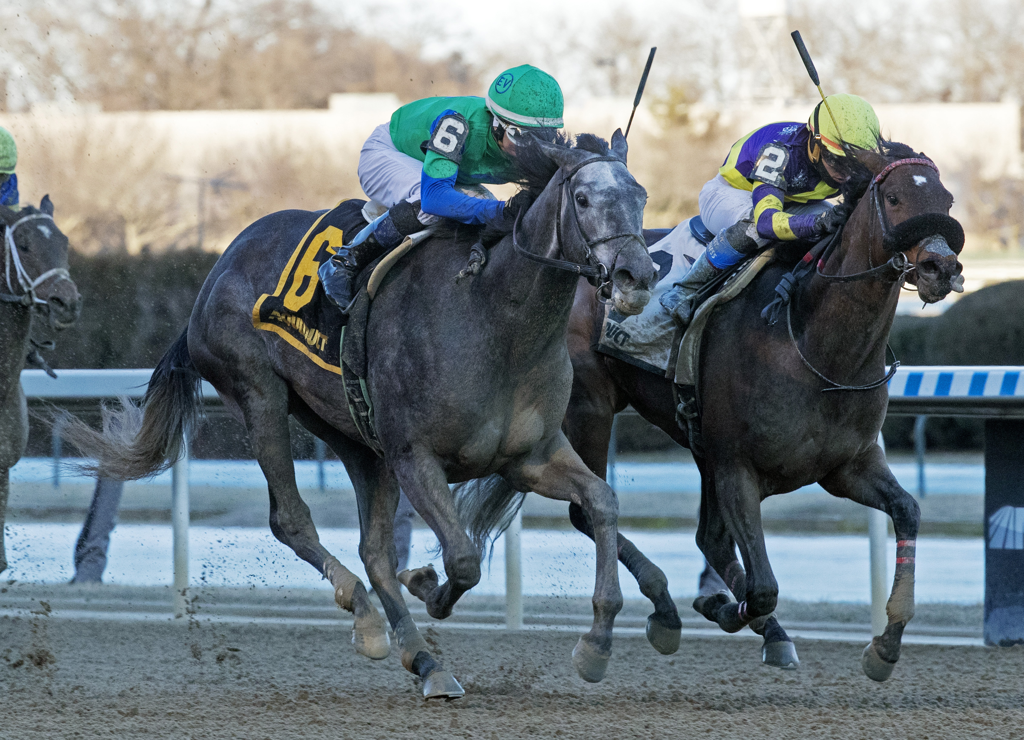 Water White (No. 6) wins the 2020 Busher Stakes