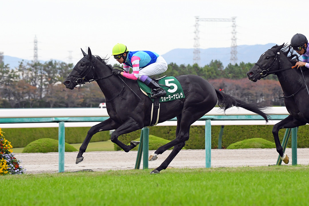 Water Navillera wins the 2021 Kyoto Sho Fantasy Stakes at Hanshin Racecourse